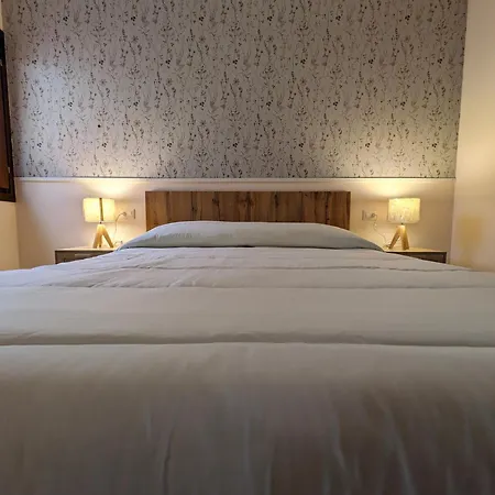 Olivastro * ムルタ・マリア