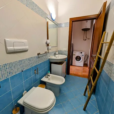 Olivastro * Murta Maria