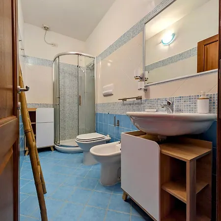 Olivastro Murta Maria