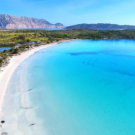 Olivastro Murta Maria