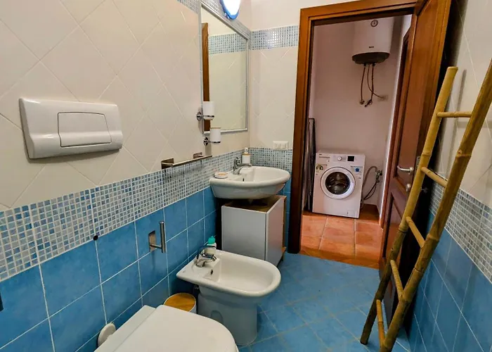 Olivastro * Мурта-Мария