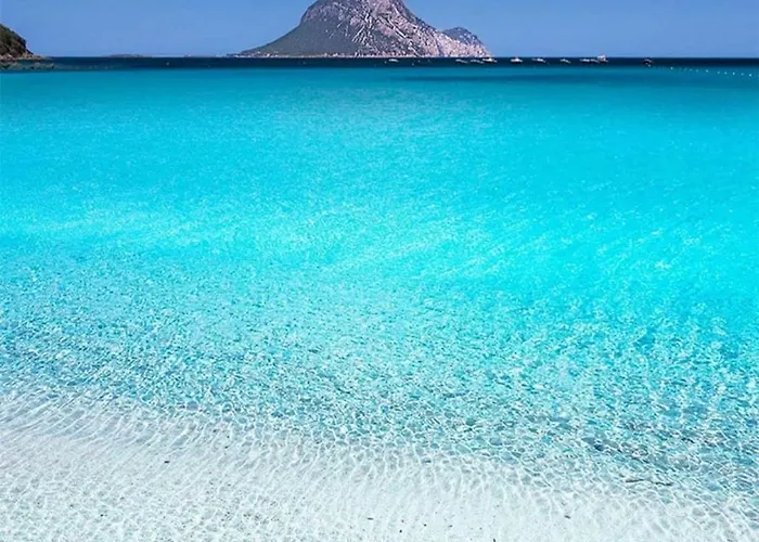 Olivastro Мурта-Мария