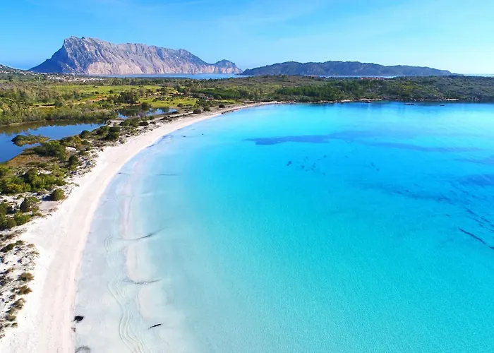 Olivastro Мурта-Мария